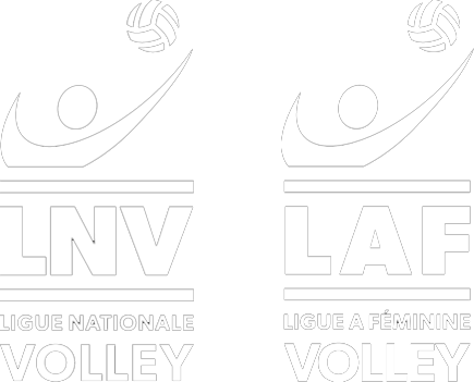 logo de la Ligue Nationale de Volley